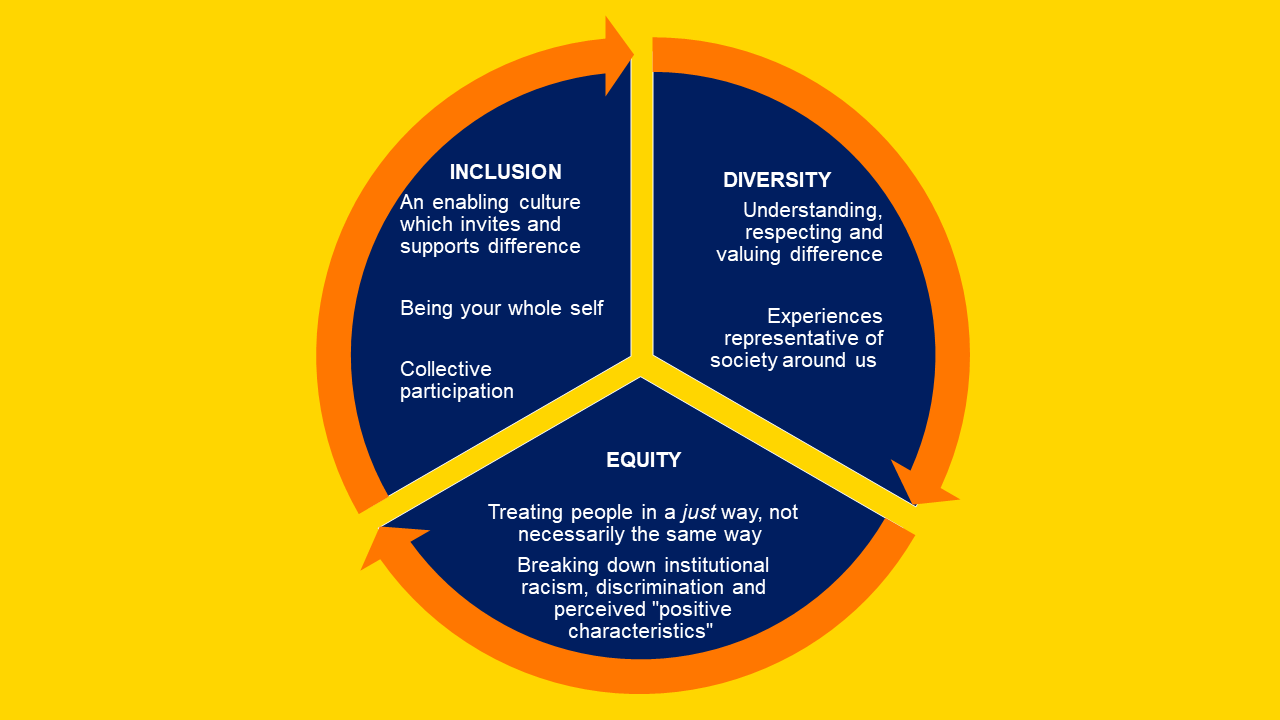 Diversity Equity and Inclusion explainer