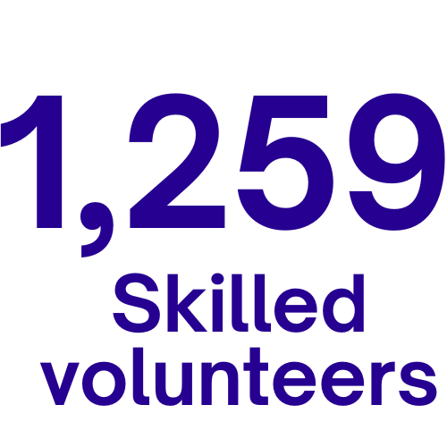 Skilled volunteers 2024