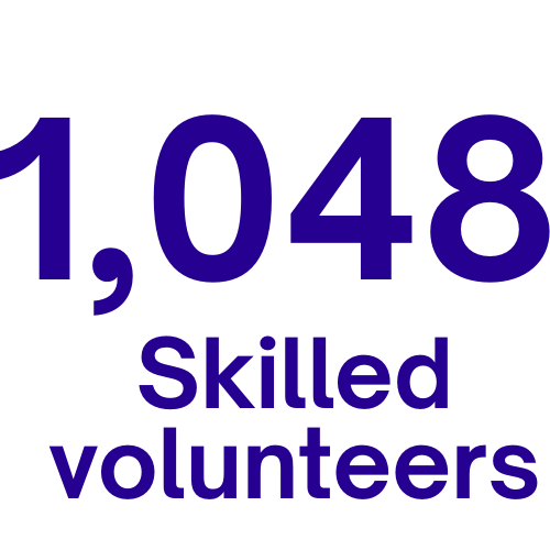 Skilled volunteers 2025
