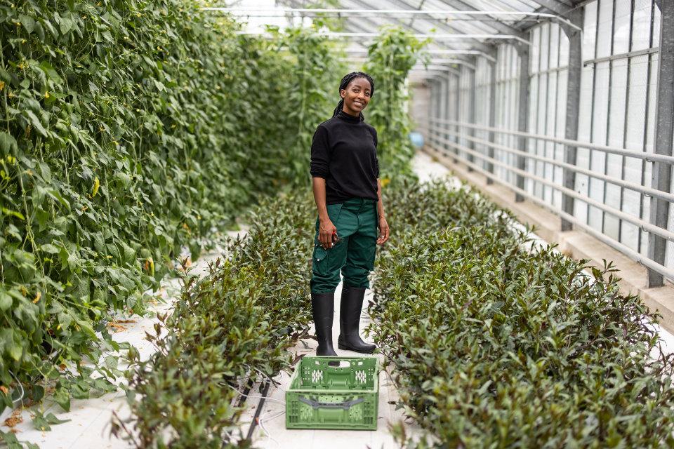 award-winners-environment