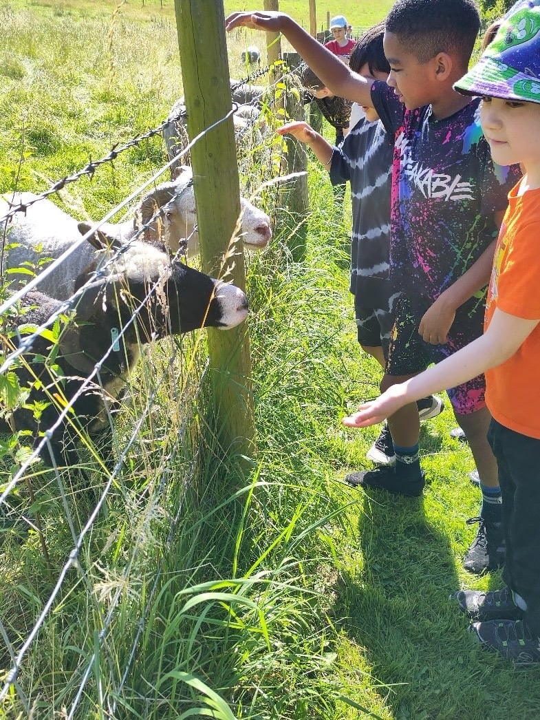 Meanwood Valley Urban Farm - Kids playing with goats