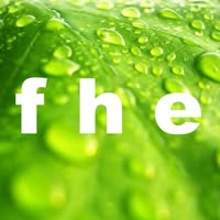 The Faith Hope & Enterprise Company