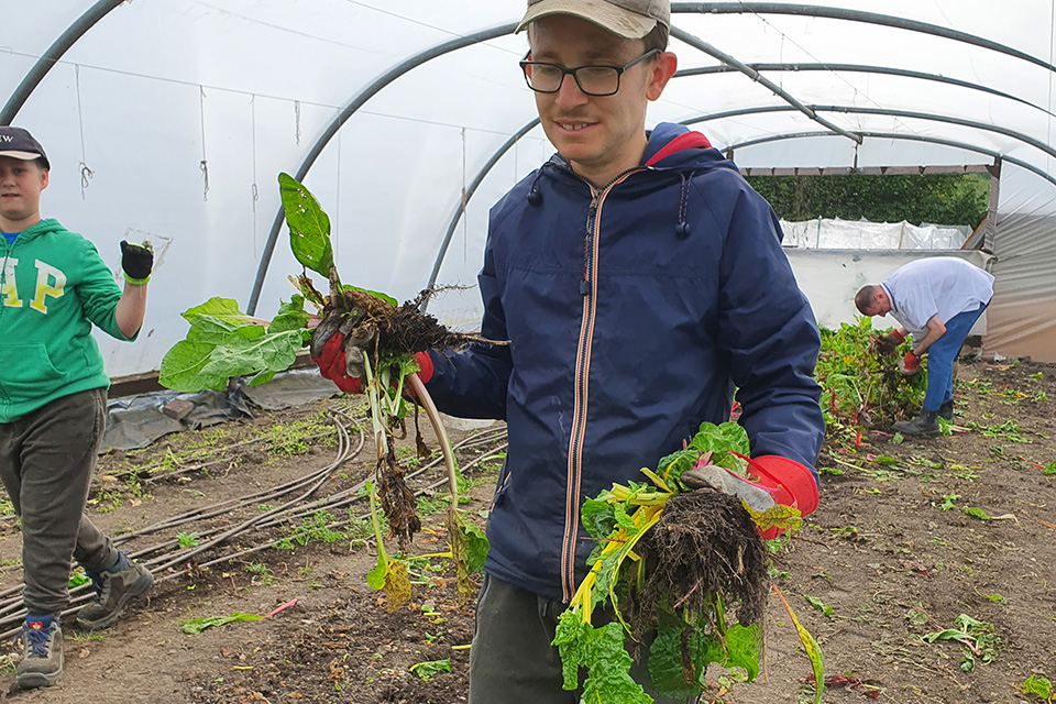 Meanwood Valley Urban Farm