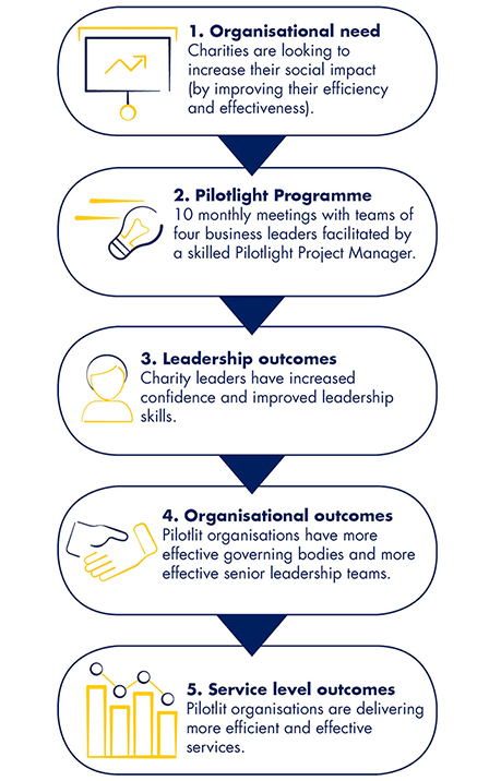 Pilotlight's Theory of Change