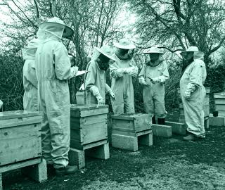 Bee keepers